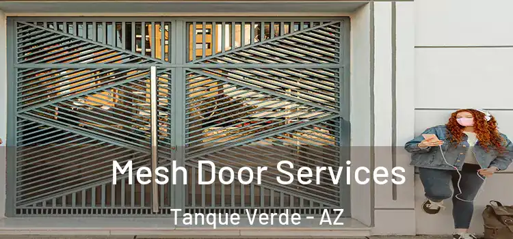 Mesh Door Services Tanque Verde - AZ